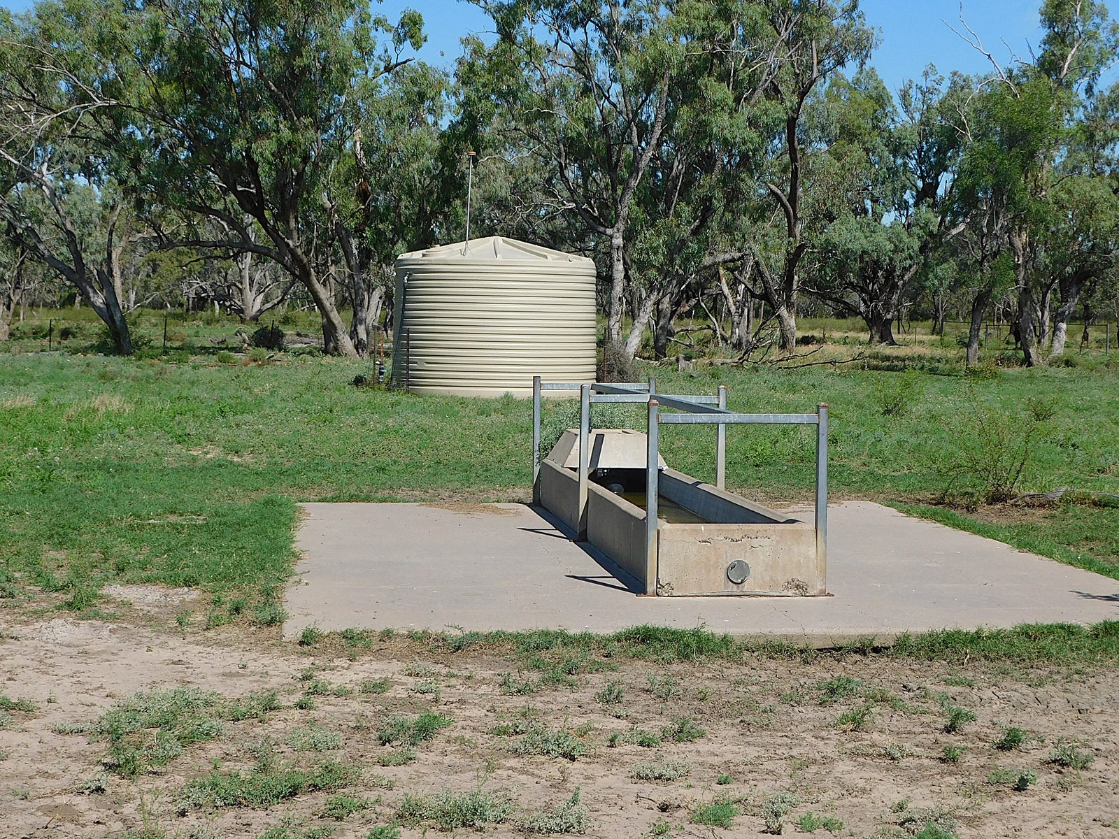 Business For Sale: Mungindi, NSW 2406
