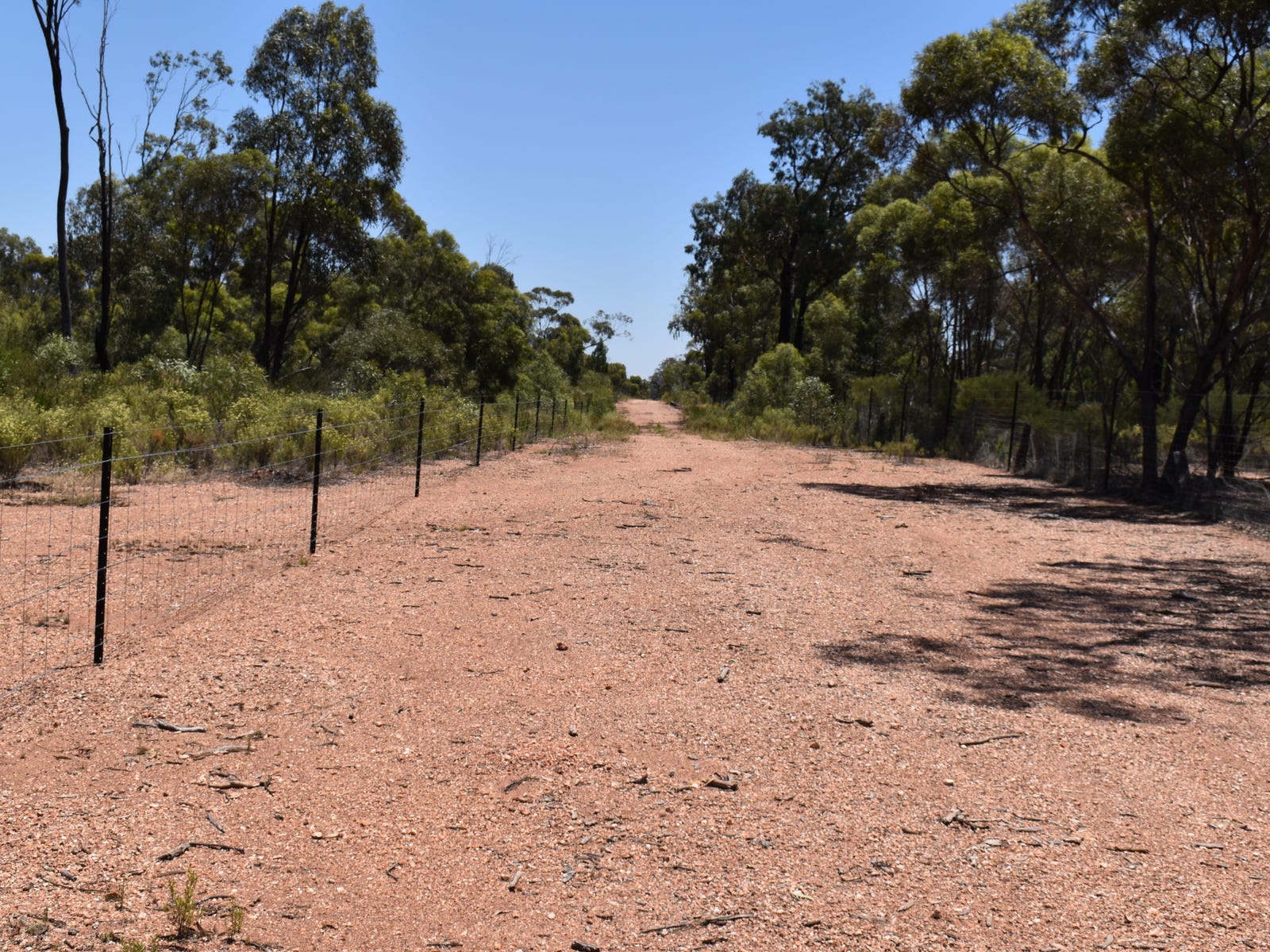 Business For Sale: Fifield, NSW 2875