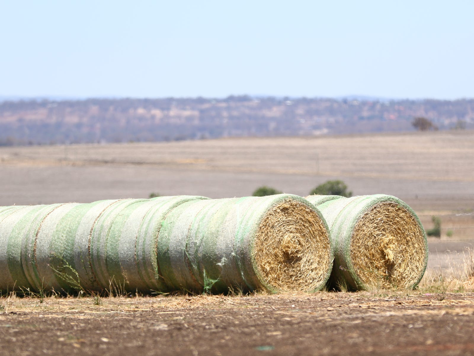 Business For Sale: Inverell, NSW 2360