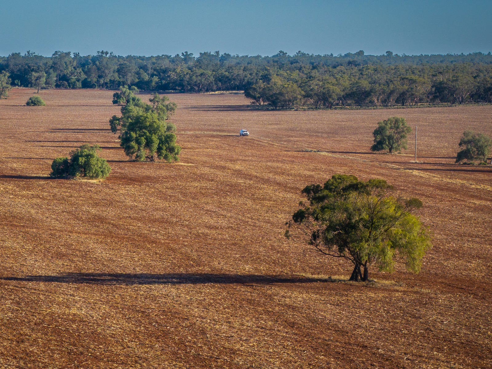 Business For Sale: Tottenham, NSW 2873