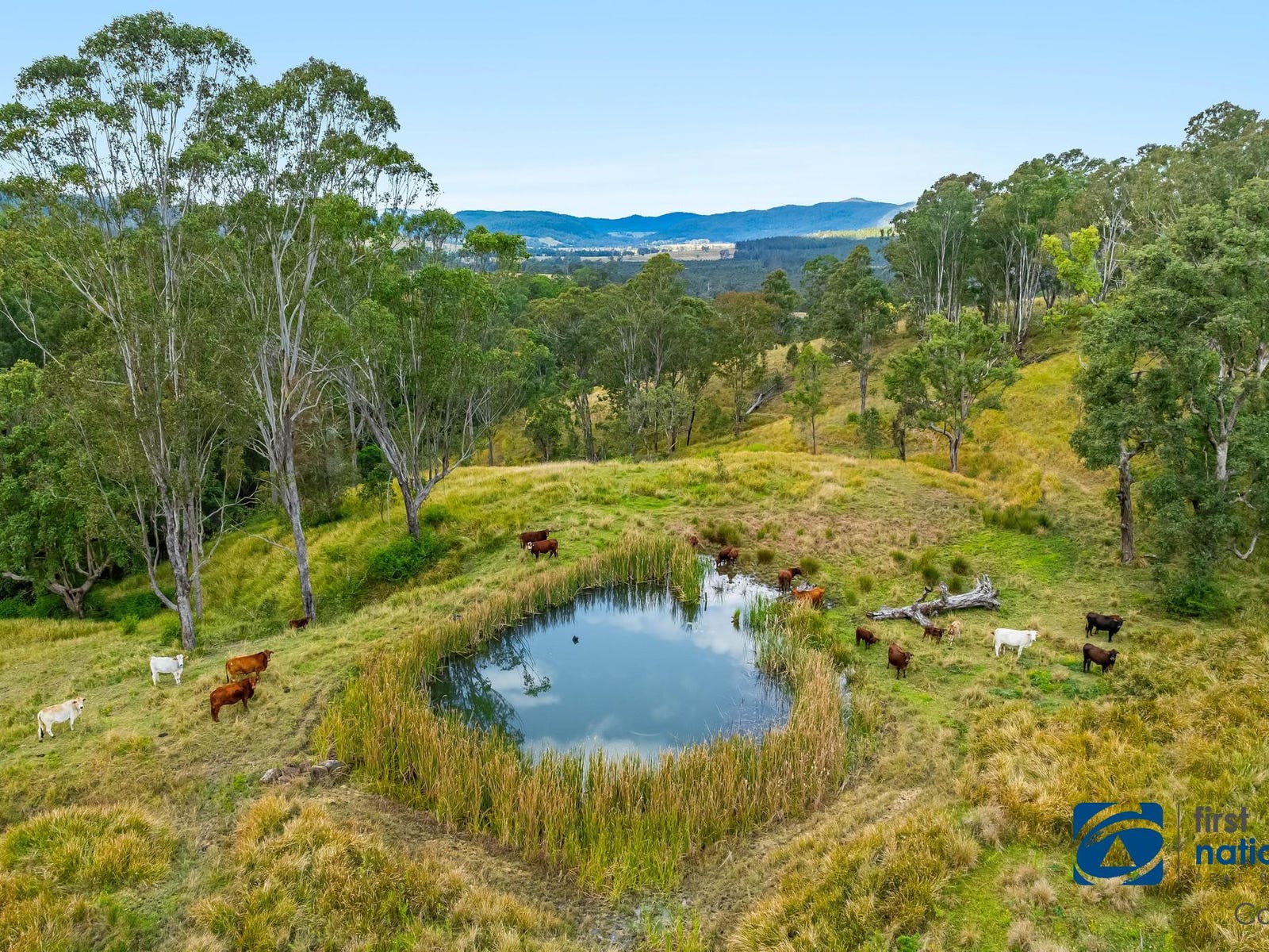 Business For Sale: Bonalbo, NSW 2469