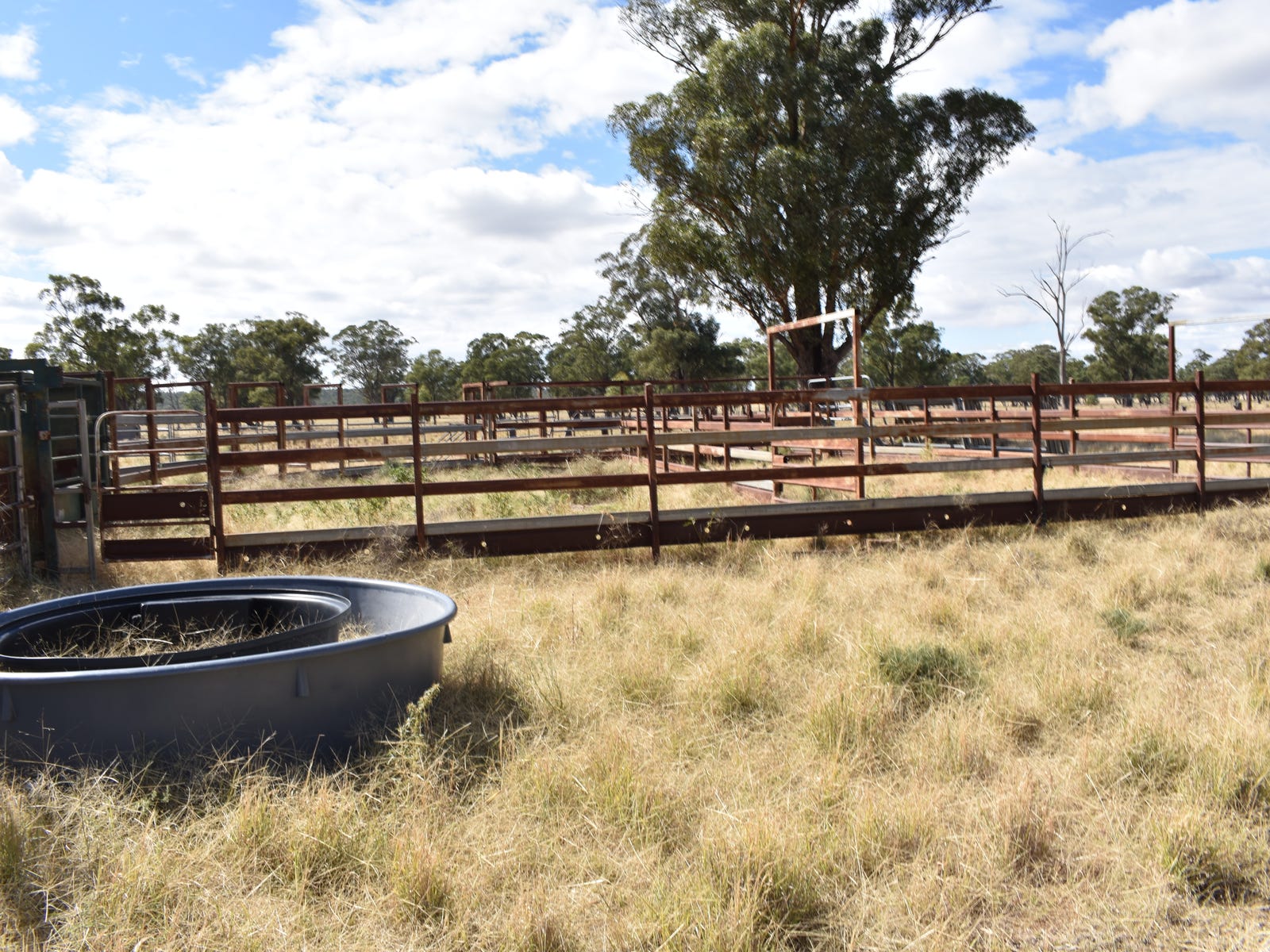 Business For Sale: Bruie Plains, NSW 2875