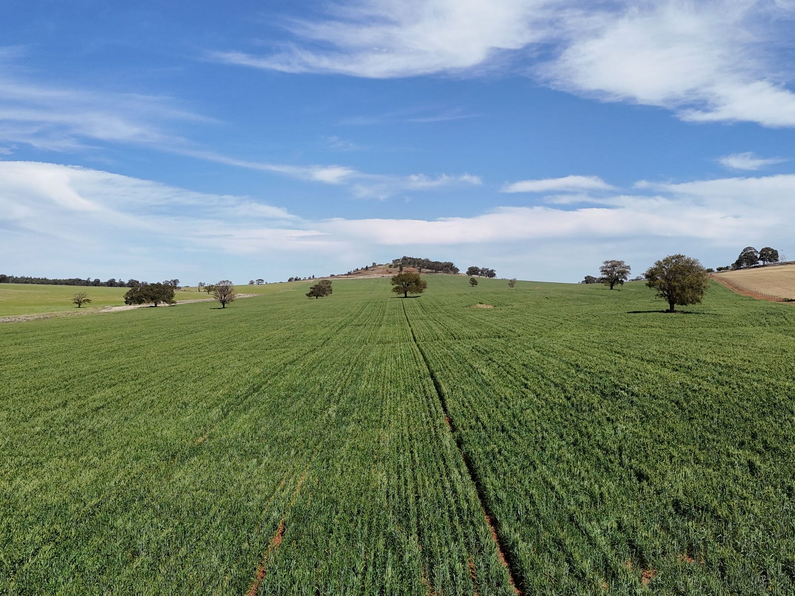 Business For Sale: Parkes, NSW 2870