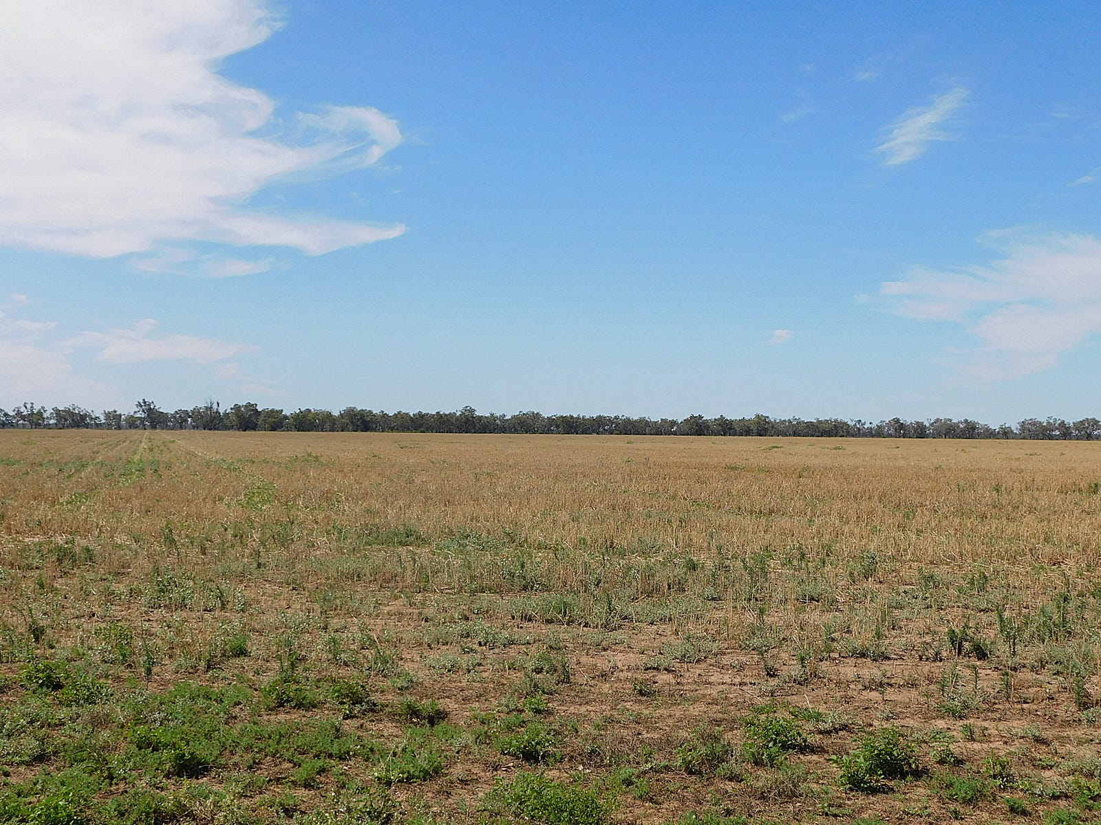 Business For Sale: Mungindi, NSW 2406