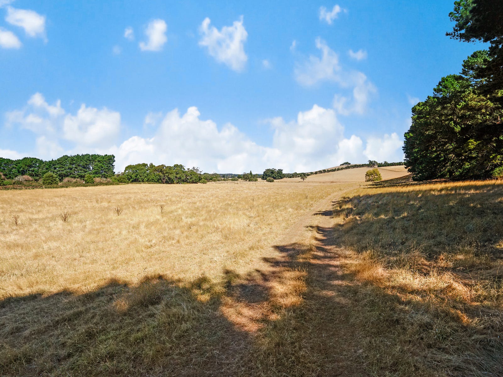 Business For Sale: Scotsburn, Vic 3352