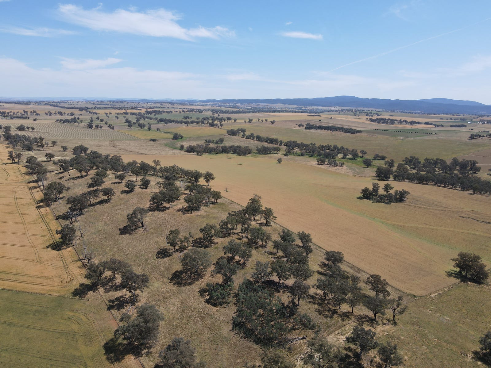 Business For Sale: Toogong, NSW 2864