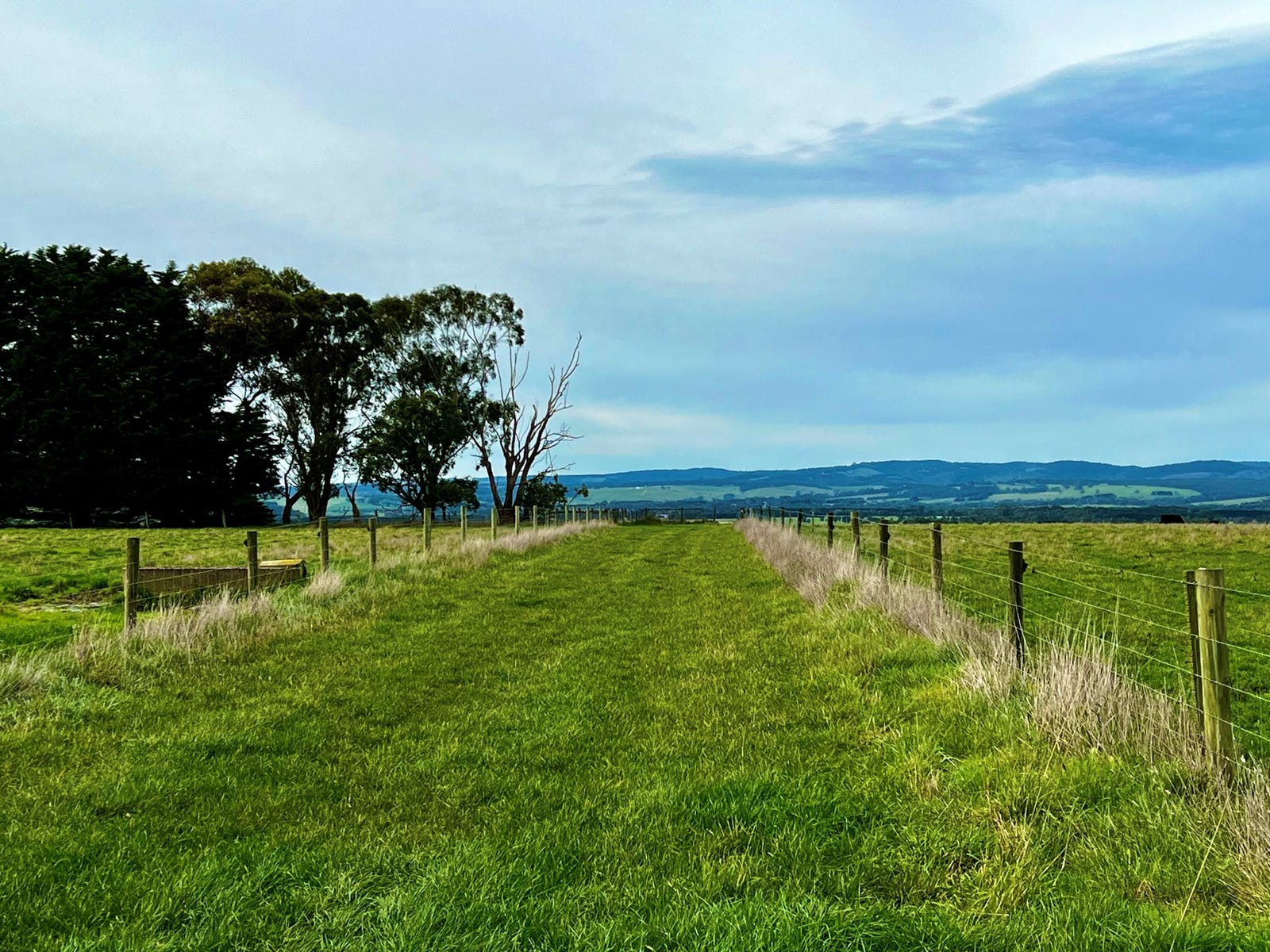Farm For Sale in Birregurra, Vic 3242 463 Birregurraforrest Road
