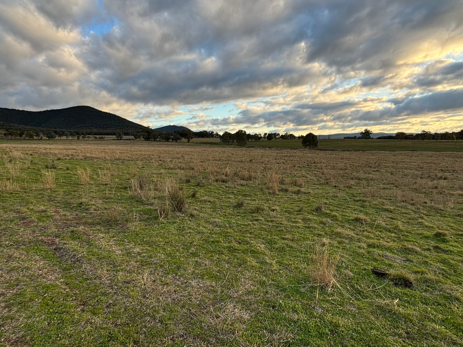 Business For Sale: Eugowra, NSW 2806