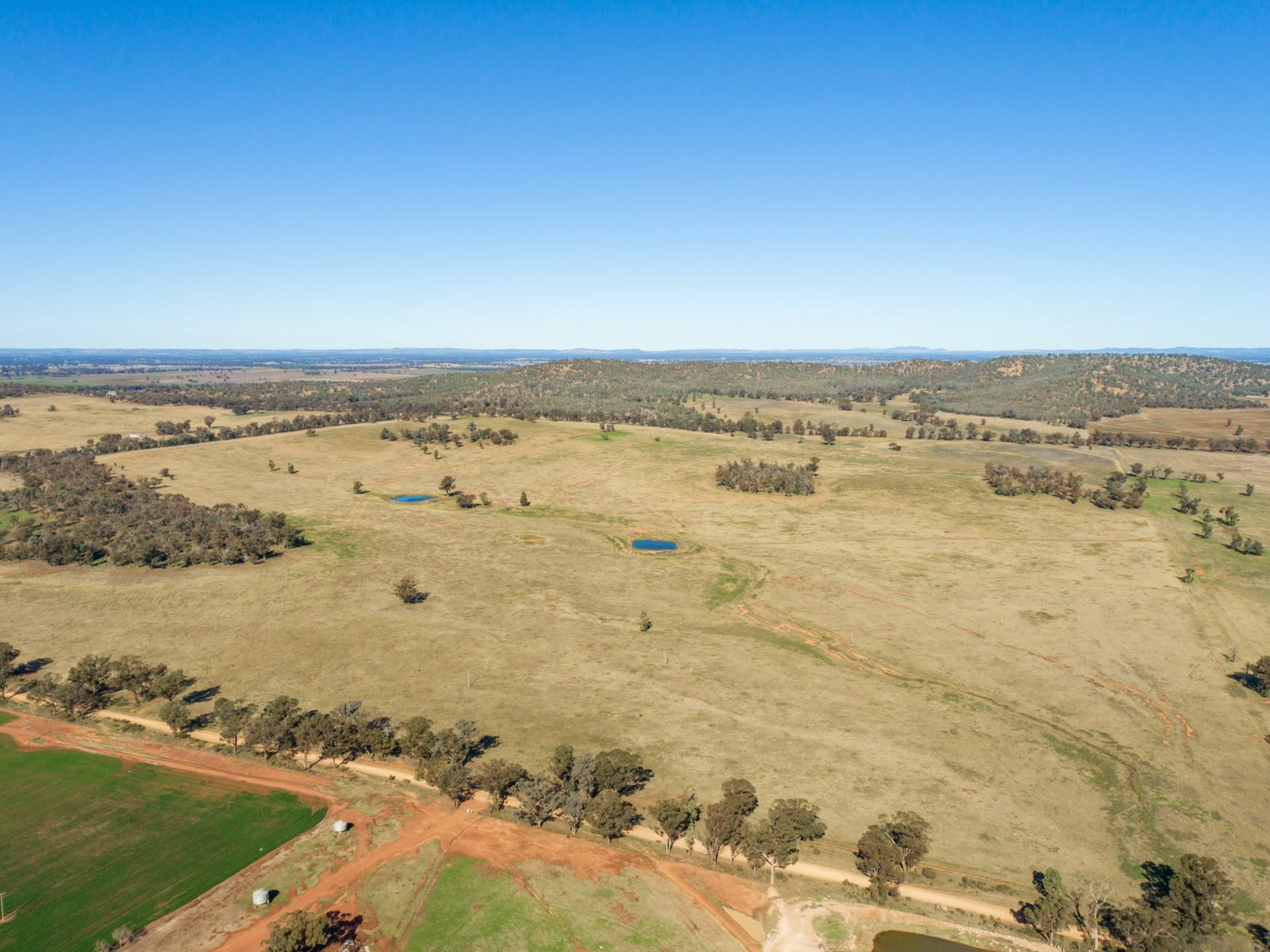 Business For Sale: Young, NSW 2594
