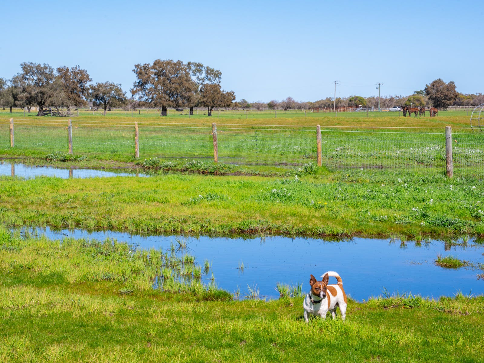 Business For Sale: Gingin, WA 6503