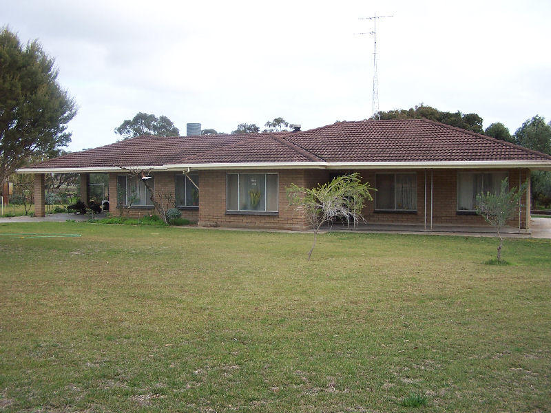 Farm For Sale in Padthaway, SA 5271 Padthaway Mundulla Road