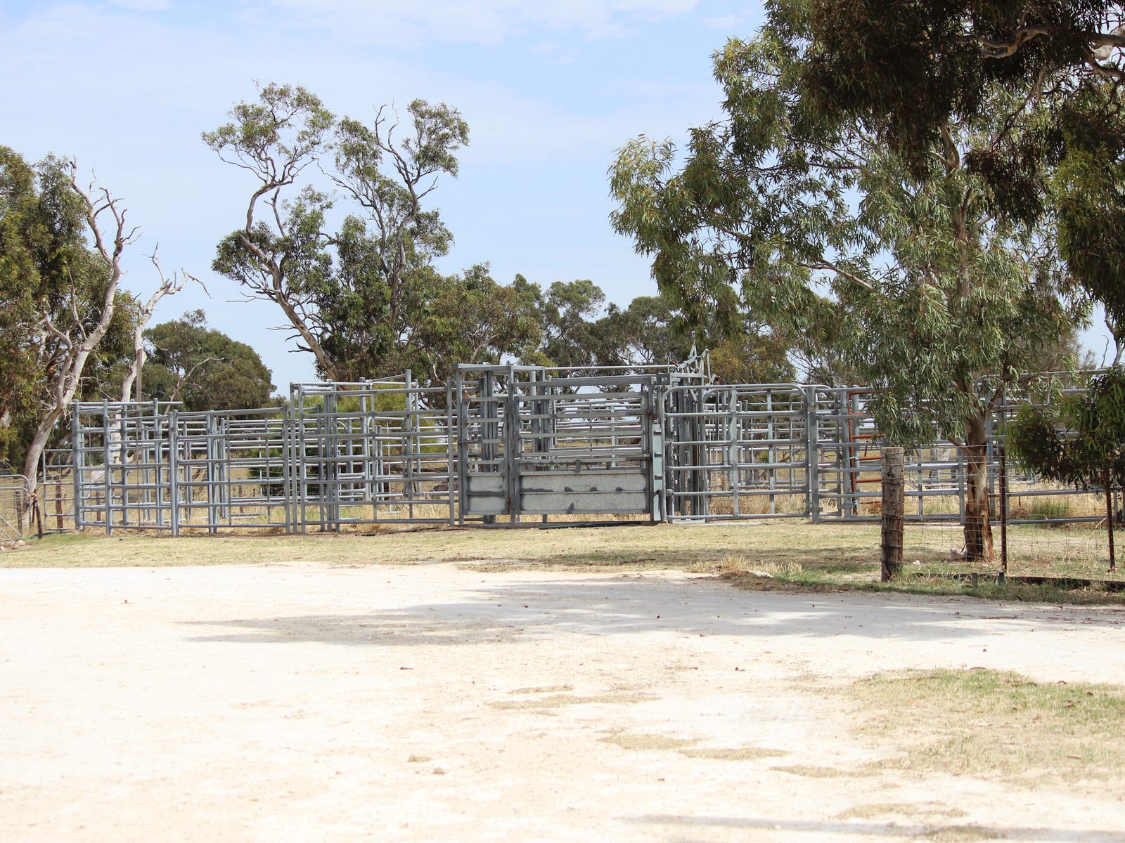 Business For Sale: Tintinara, SA 5266