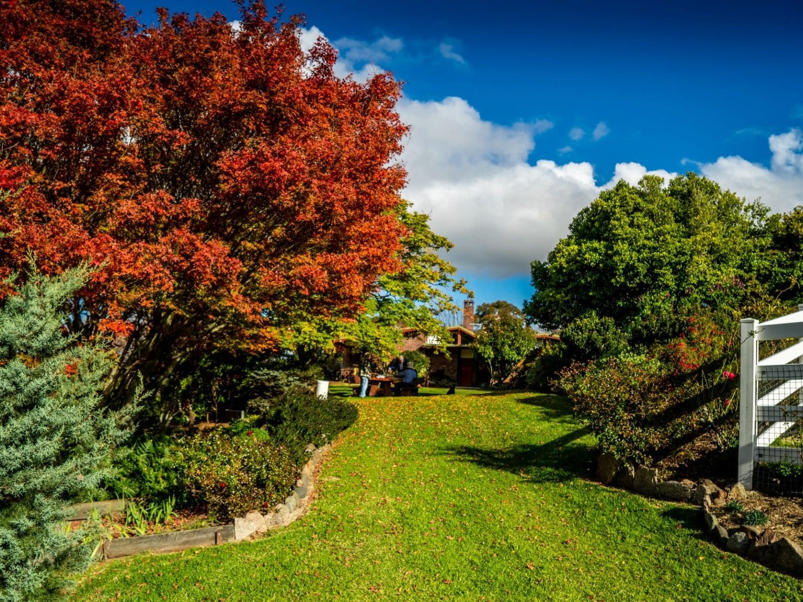 Business For Sale: Willsons Downfall, NSW 2372