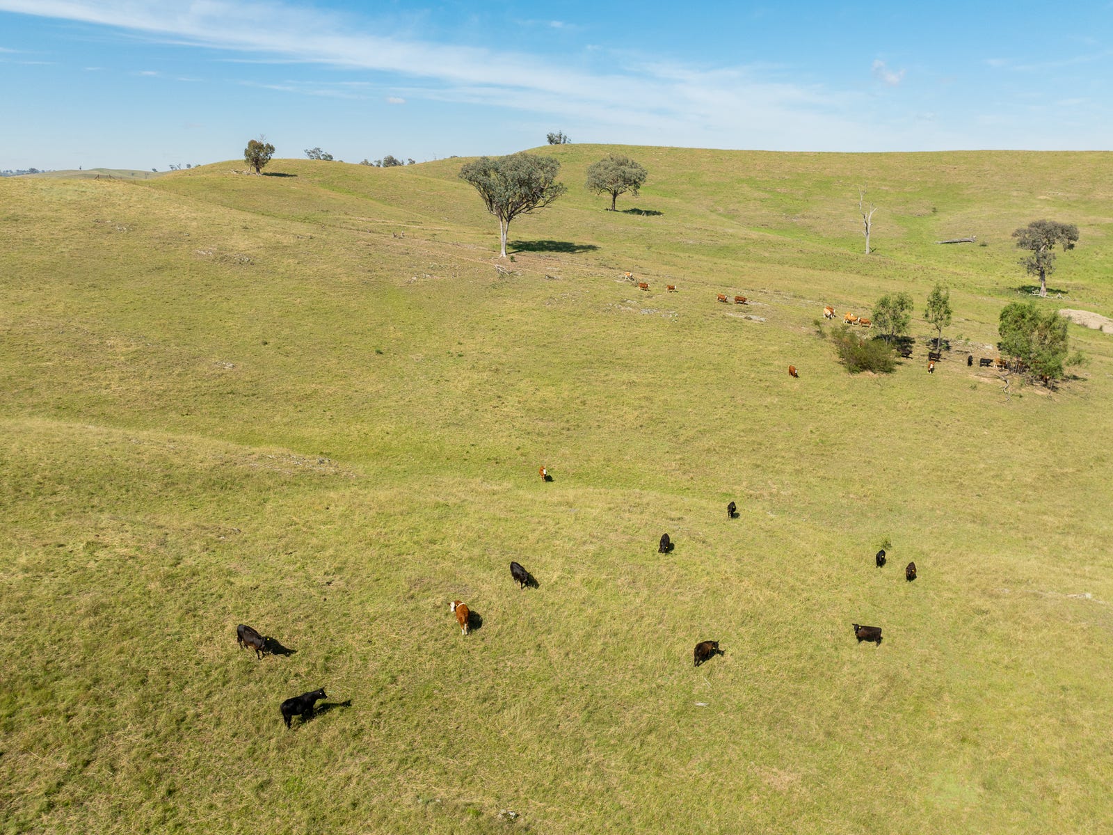 Business For Sale: Euchareena, NSW 2866