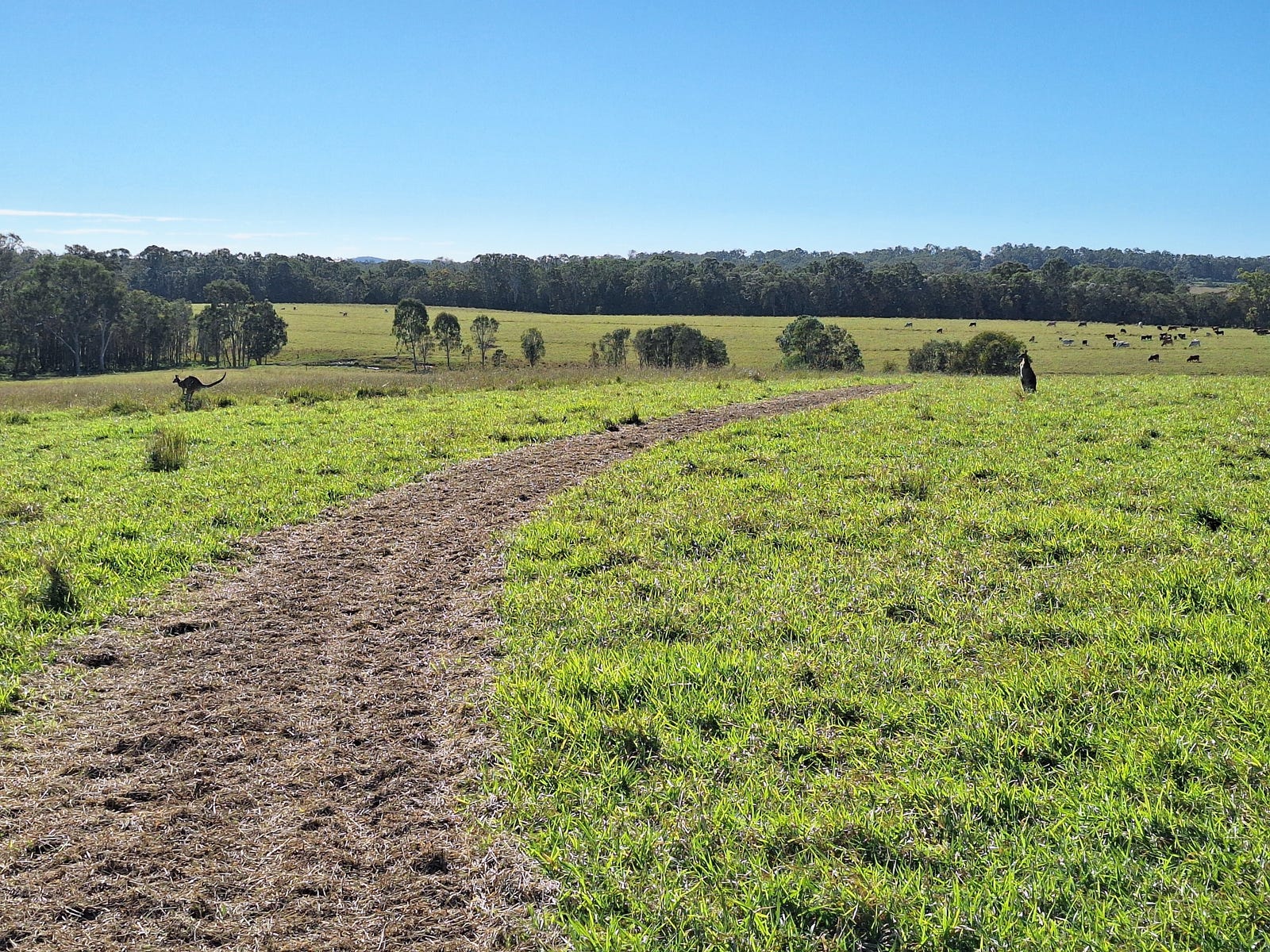 Business For Sale: Goomboorian, Qld 4570
