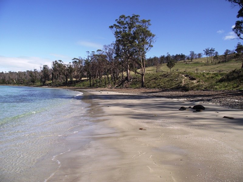 Farm For Sale in Carlton River, Tas 7173 172 Primrose Sands Road