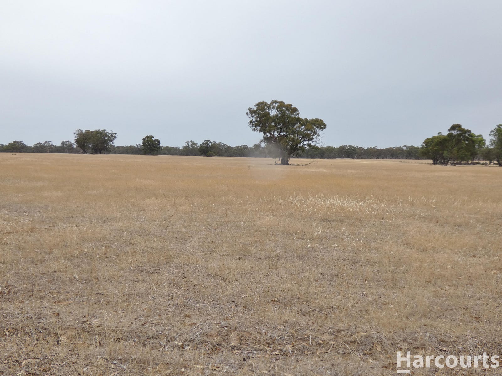 Business For Sale: Clear Lake, Vic 3409