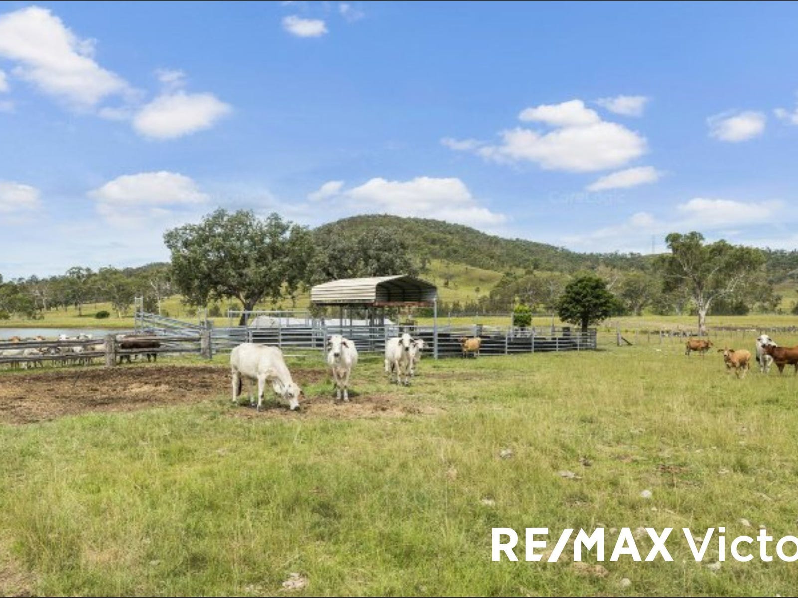Farm For Sale in Moore, Qld 4314 56 Himstedts Road
