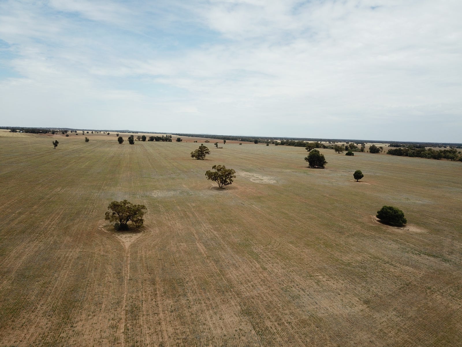 Farm For Sale in Narromine, NSW 2821 'ossory' Aggregation