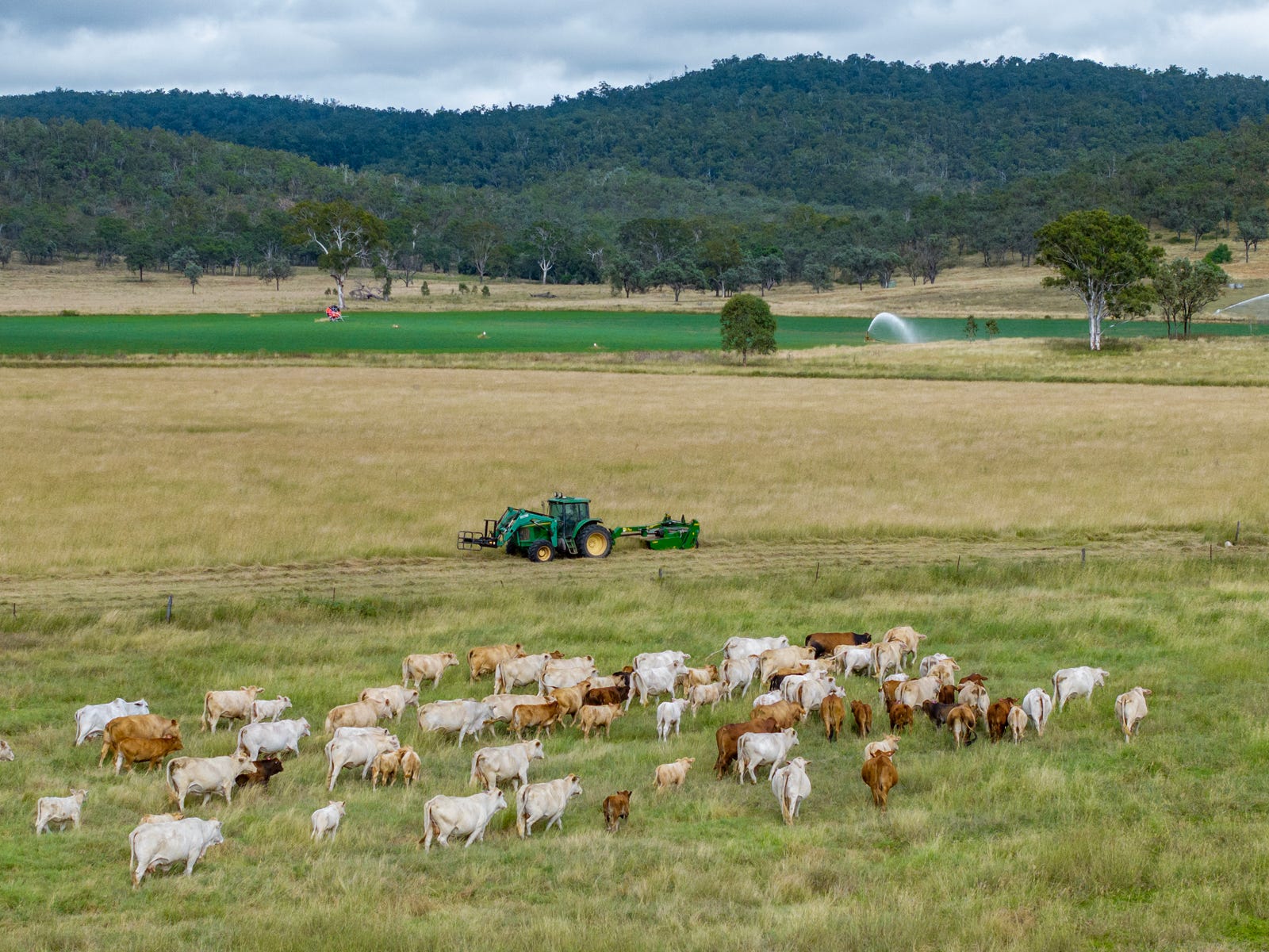 Farms For Sale in Tansey, Qld 4601