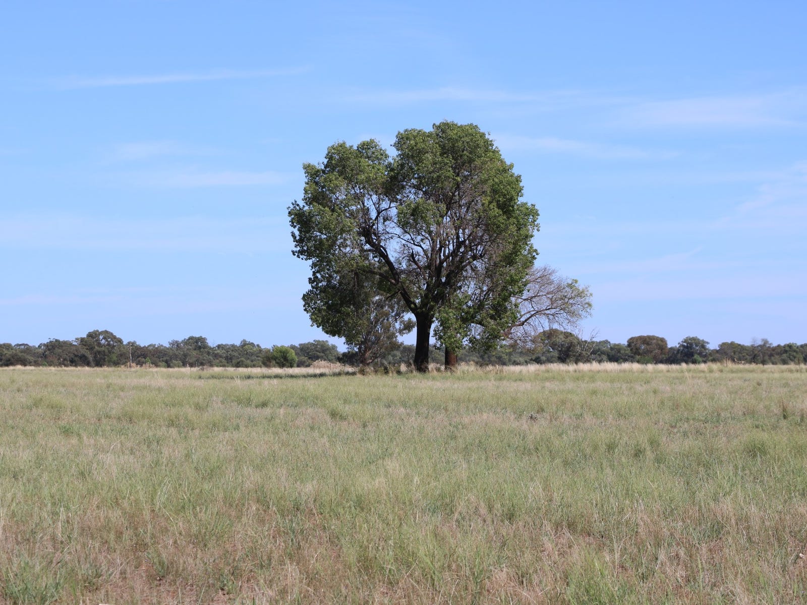 Business For Sale: Parkes, NSW 2870