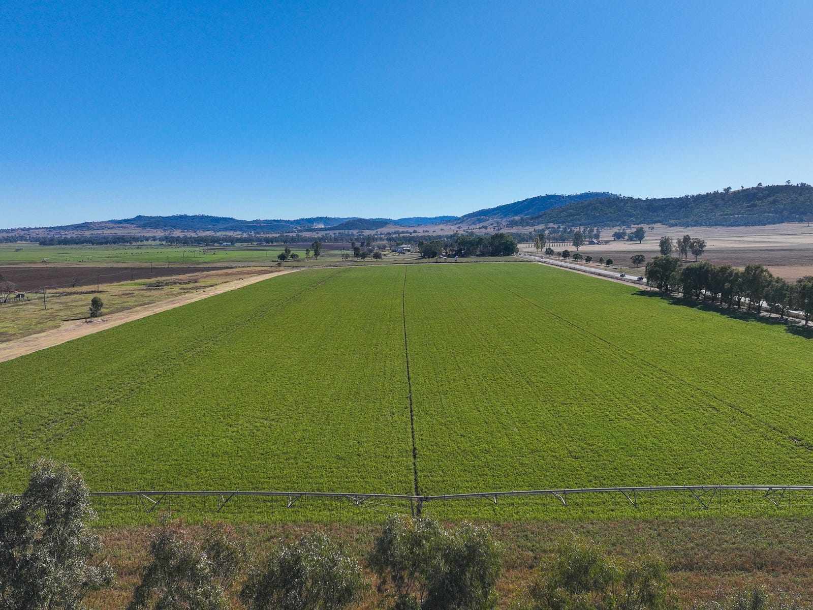 Farm For Sale in Tamworth, NSW 2340 915 Appleby Lane
