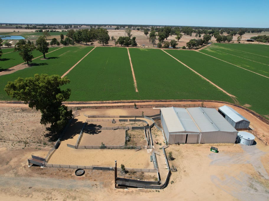 Farm For Sale in Deniliquin, NSW 2710 Boundary Park Middleton Road
