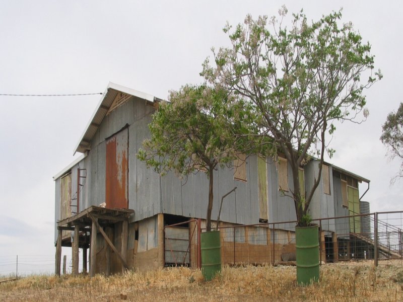 Farm For Sale in Cowra, NSW 2794 Box Rangekenyu Road Boorowa