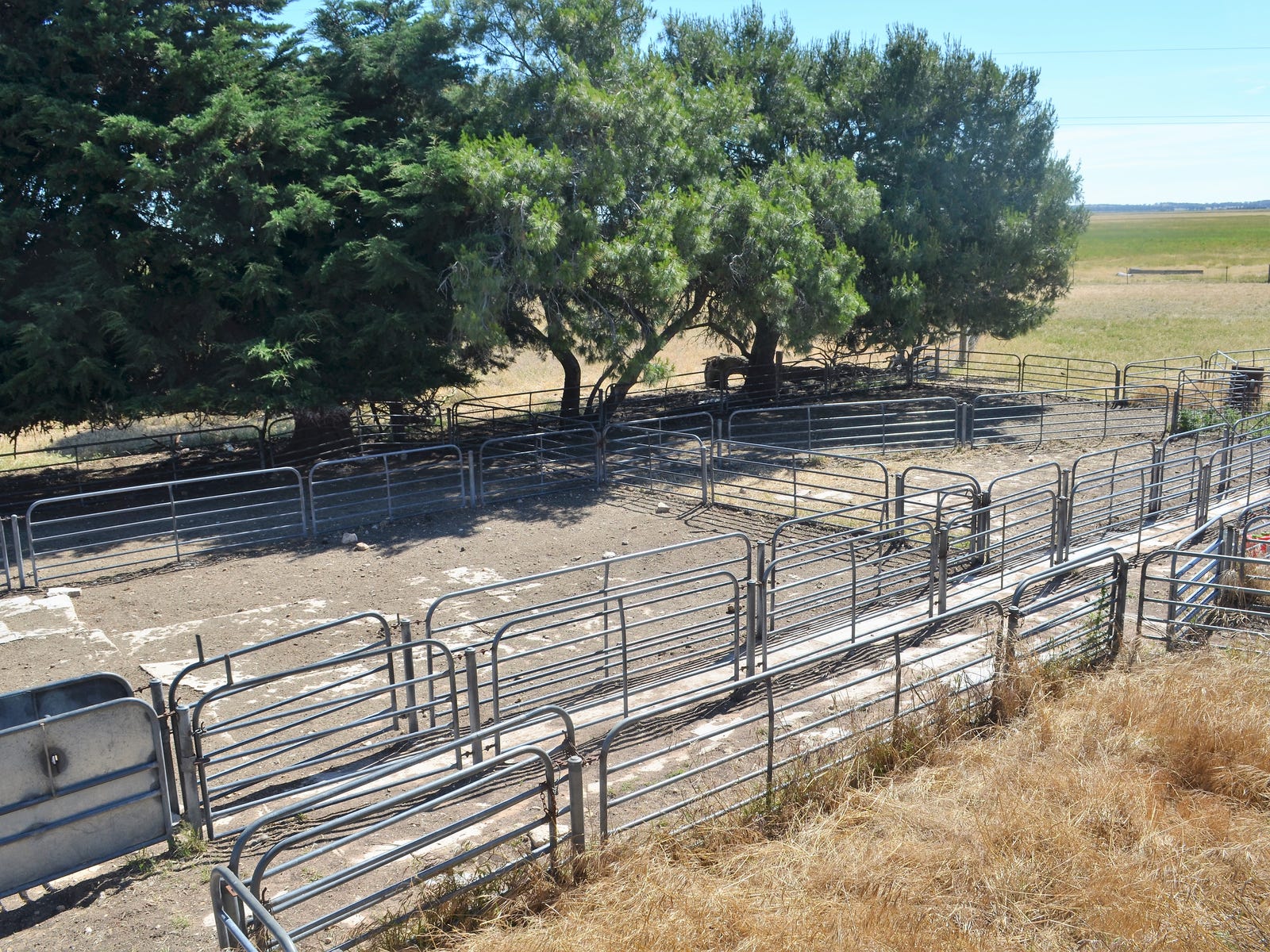 Business For Sale: Lucindale, SA 5272