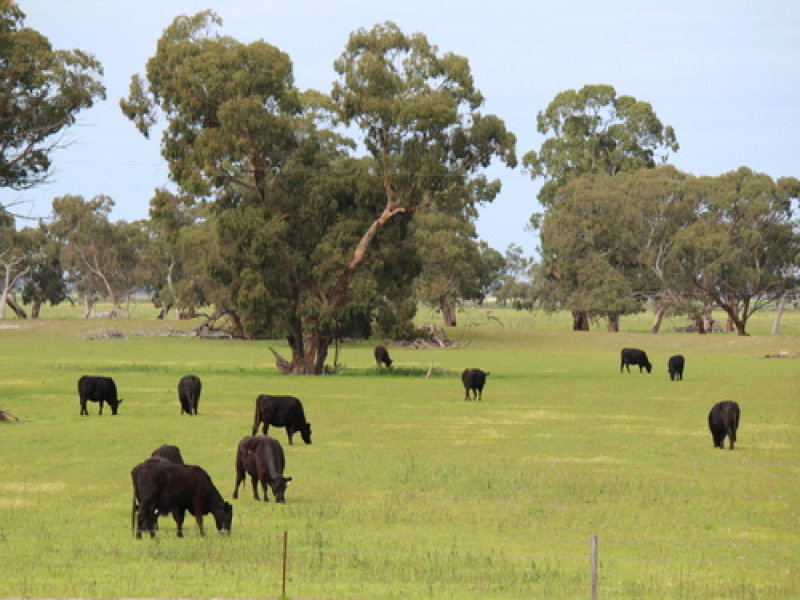 Business For Sale: Keith, SA 5267