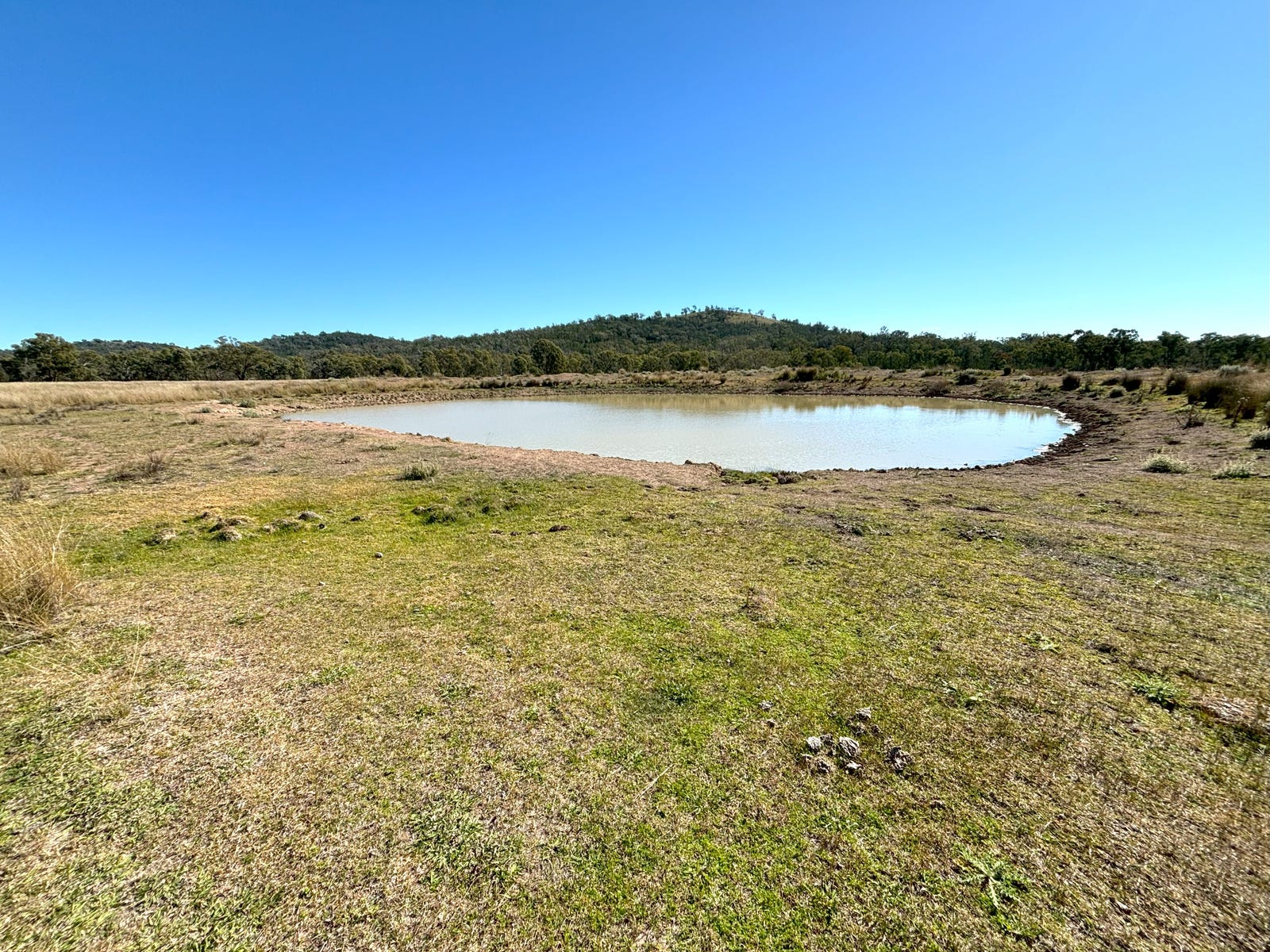 Business For Sale: Bonshaw, NSW 2361