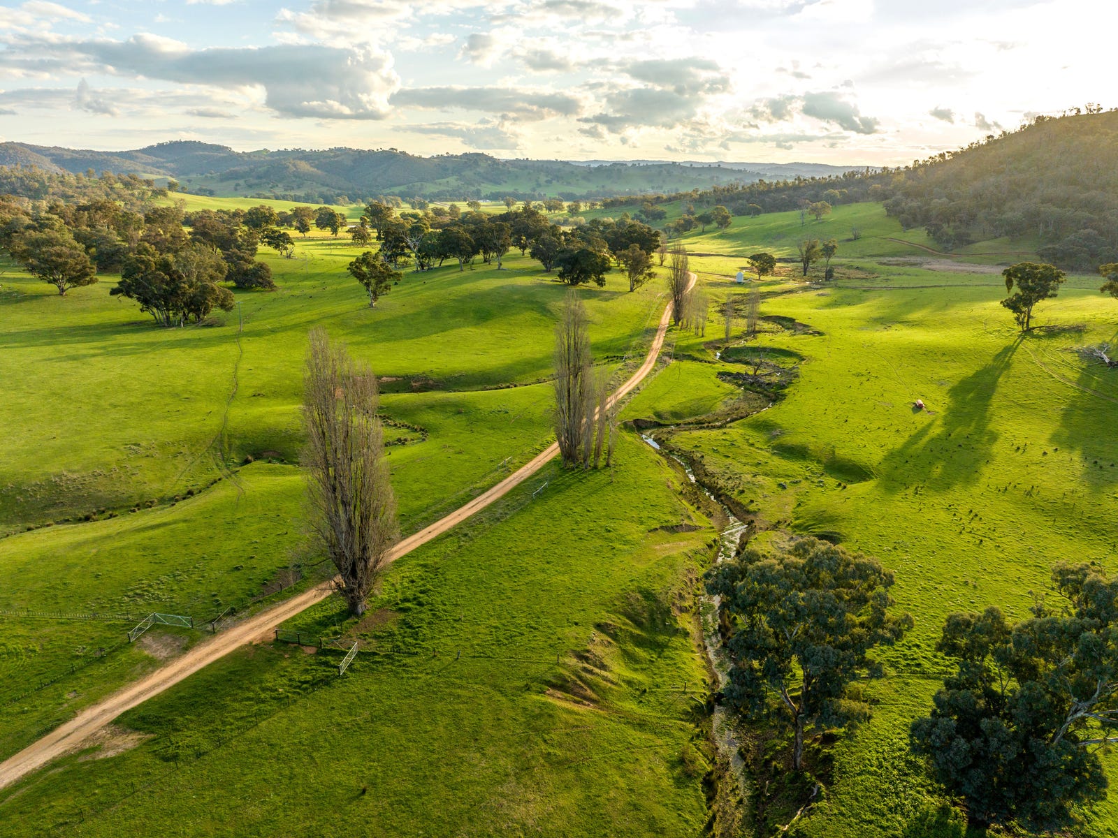 Farms For Sale in Oberne Creek, NSW 2650