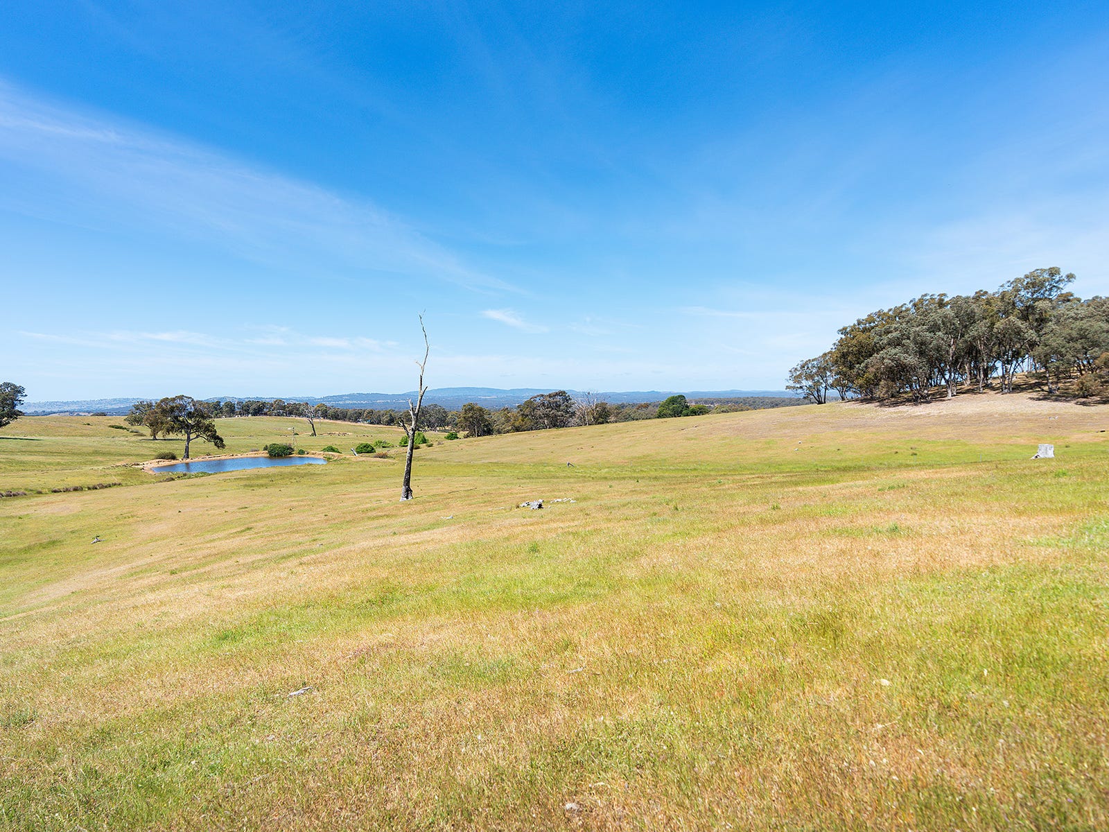 Business For Sale: Maldon, Vic 3463