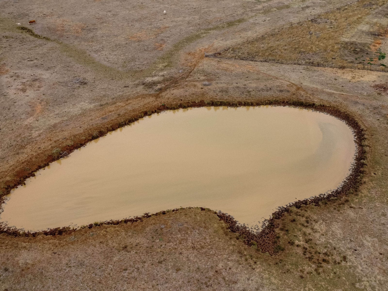 Farm For Sale in Warialda, NSW 2402 3133 Allan Cunningham Way