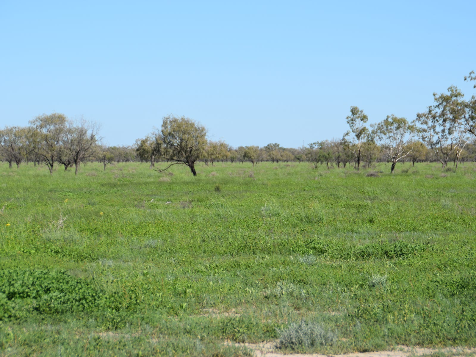 Business For Sale: Walgett, NSW 2832