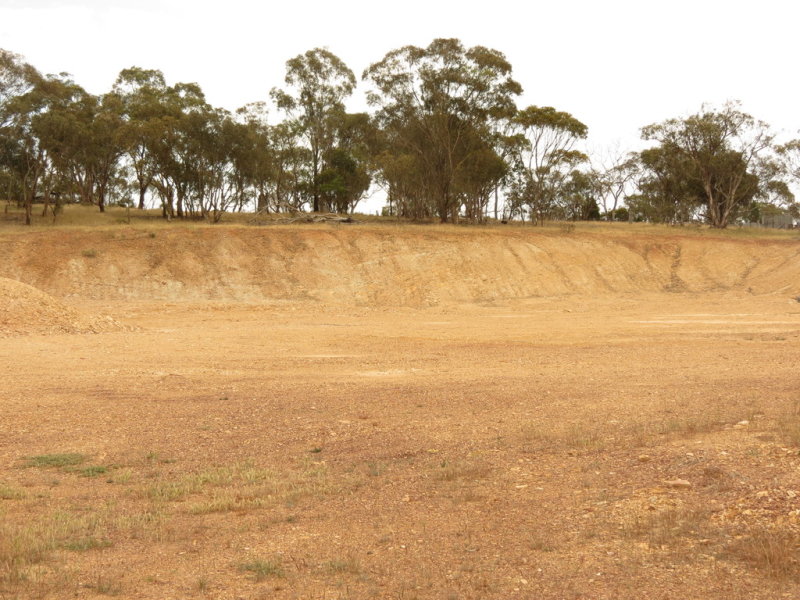 Farm For Sale in Temora, NSW 2666 "hillview" Goldfields Way