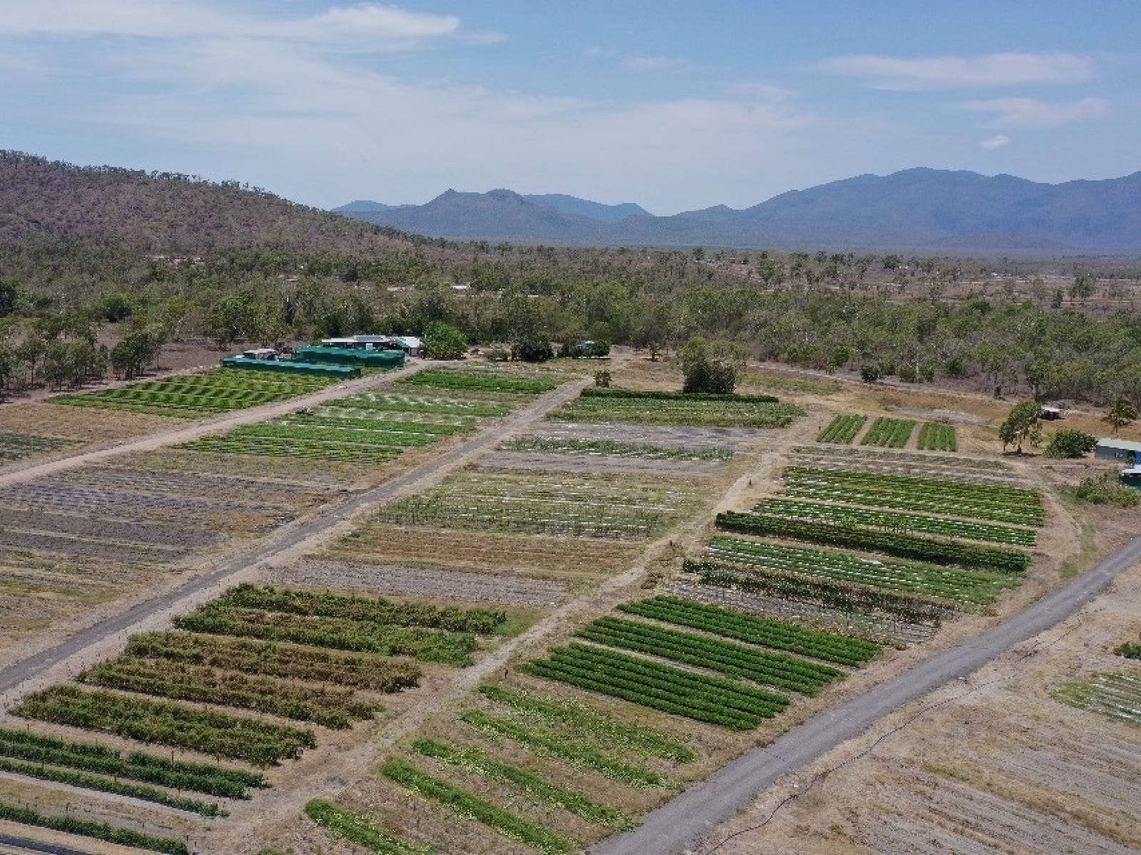 Farms For Sale in Oak Valley, Qld 4811