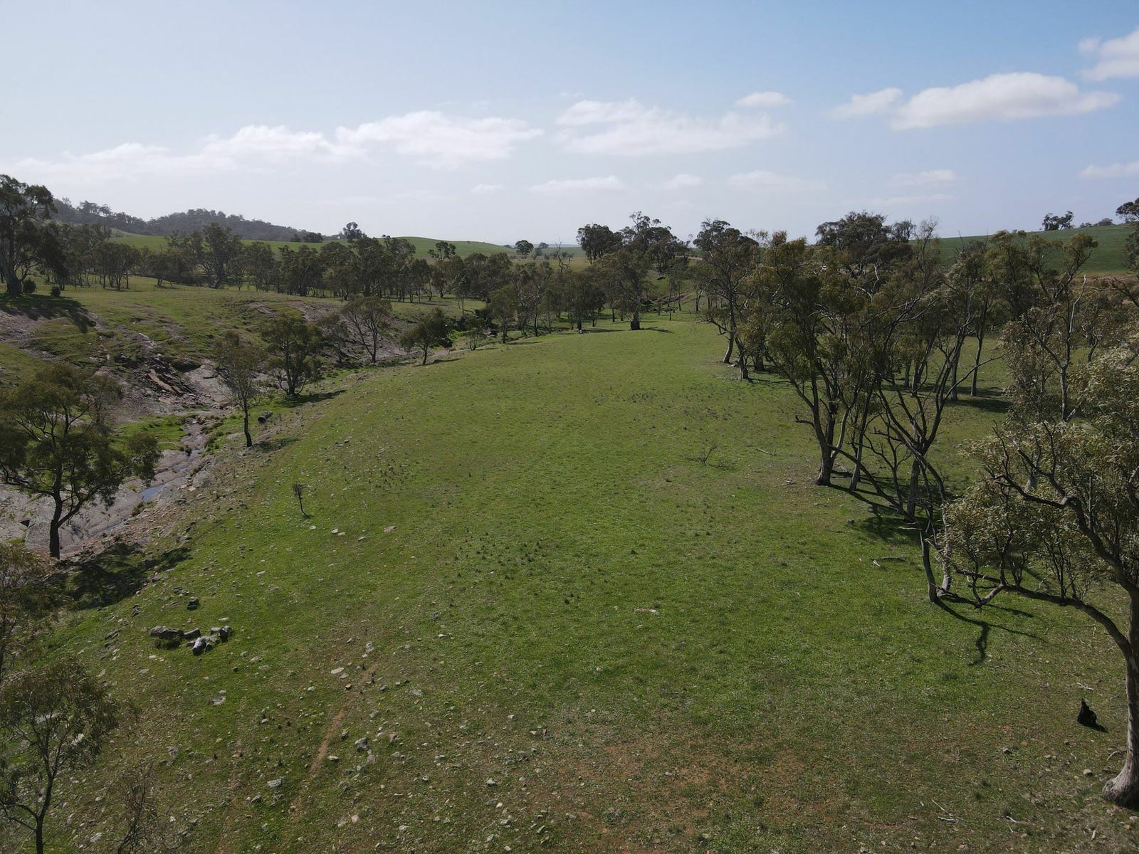 Farm For Sale in Wilmington, SA 5485 Allotment 1 Hancocks Lookout Road