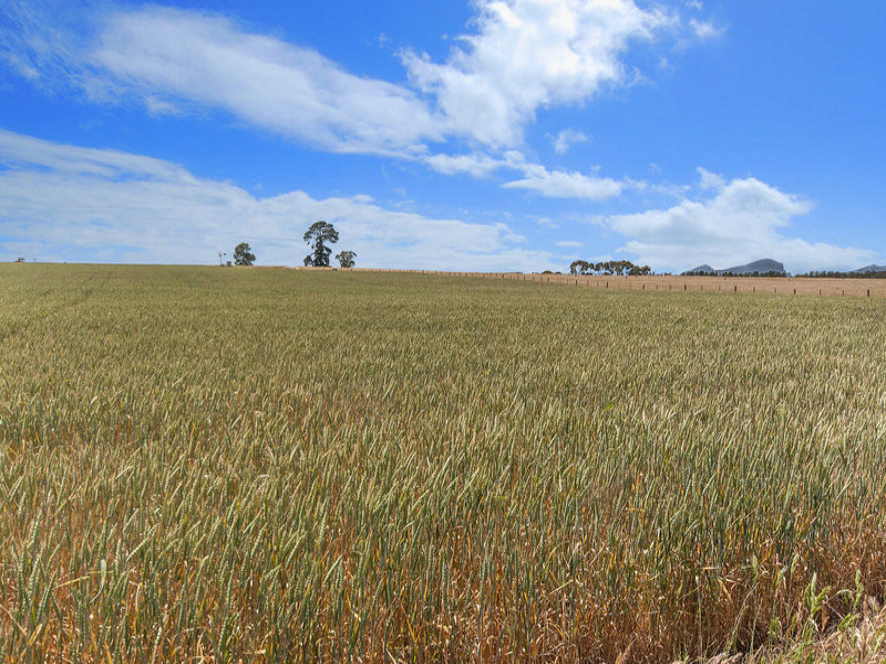 Business For Sale: Warrayure, Vic 3301