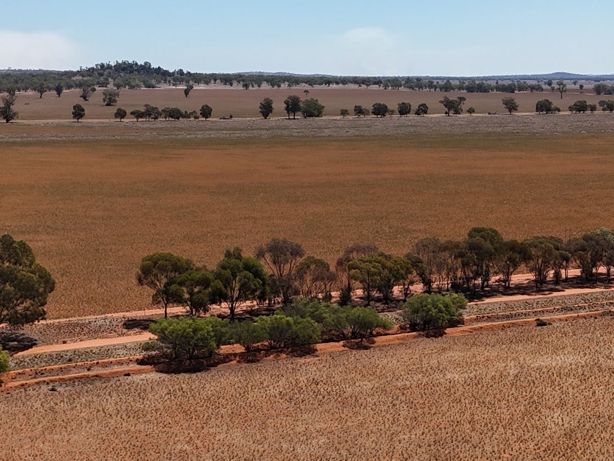 Business For Sale: Condobolin, NSW 2877