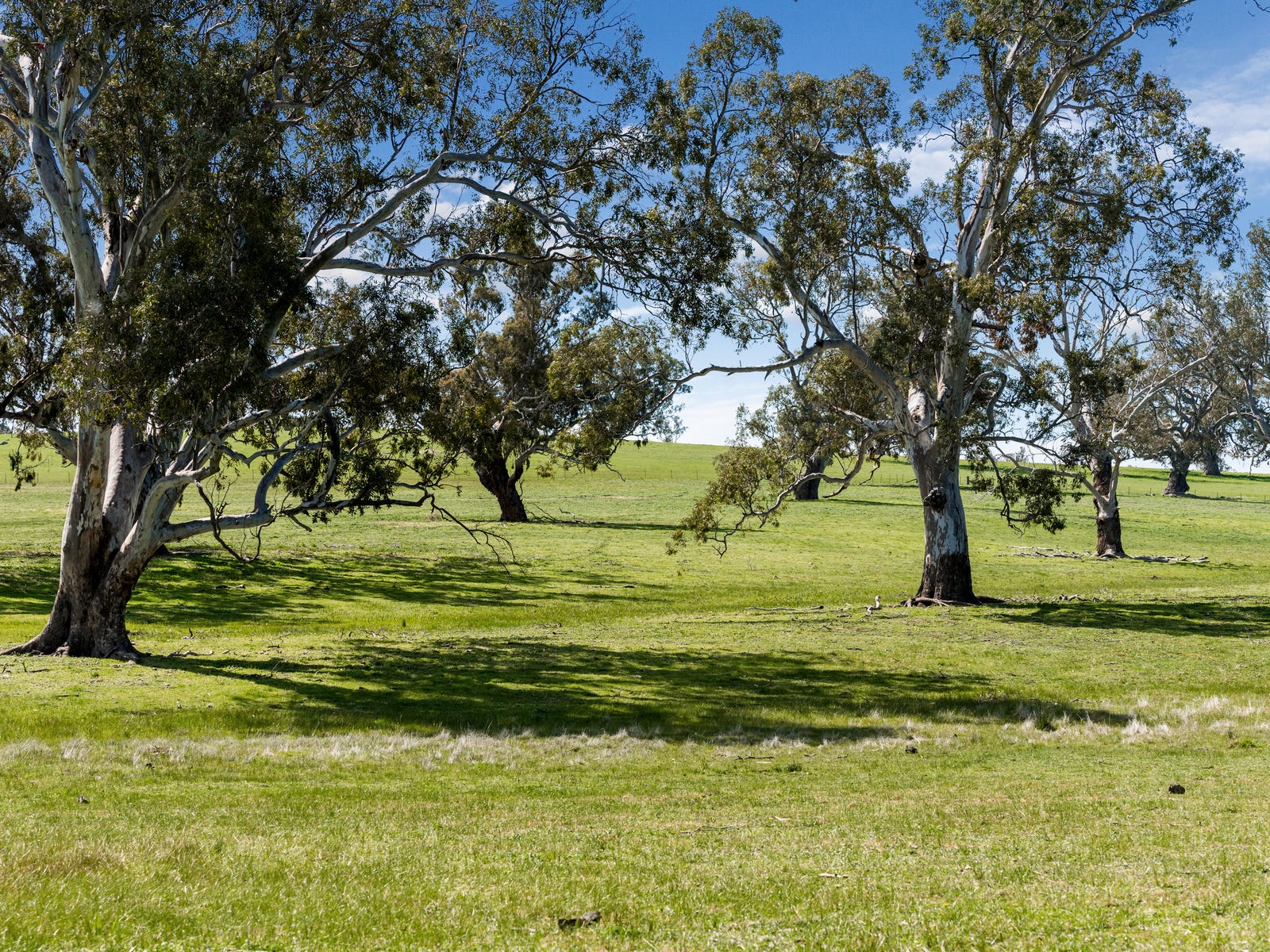Business For Sale: Sutton Grange, Vic 3448