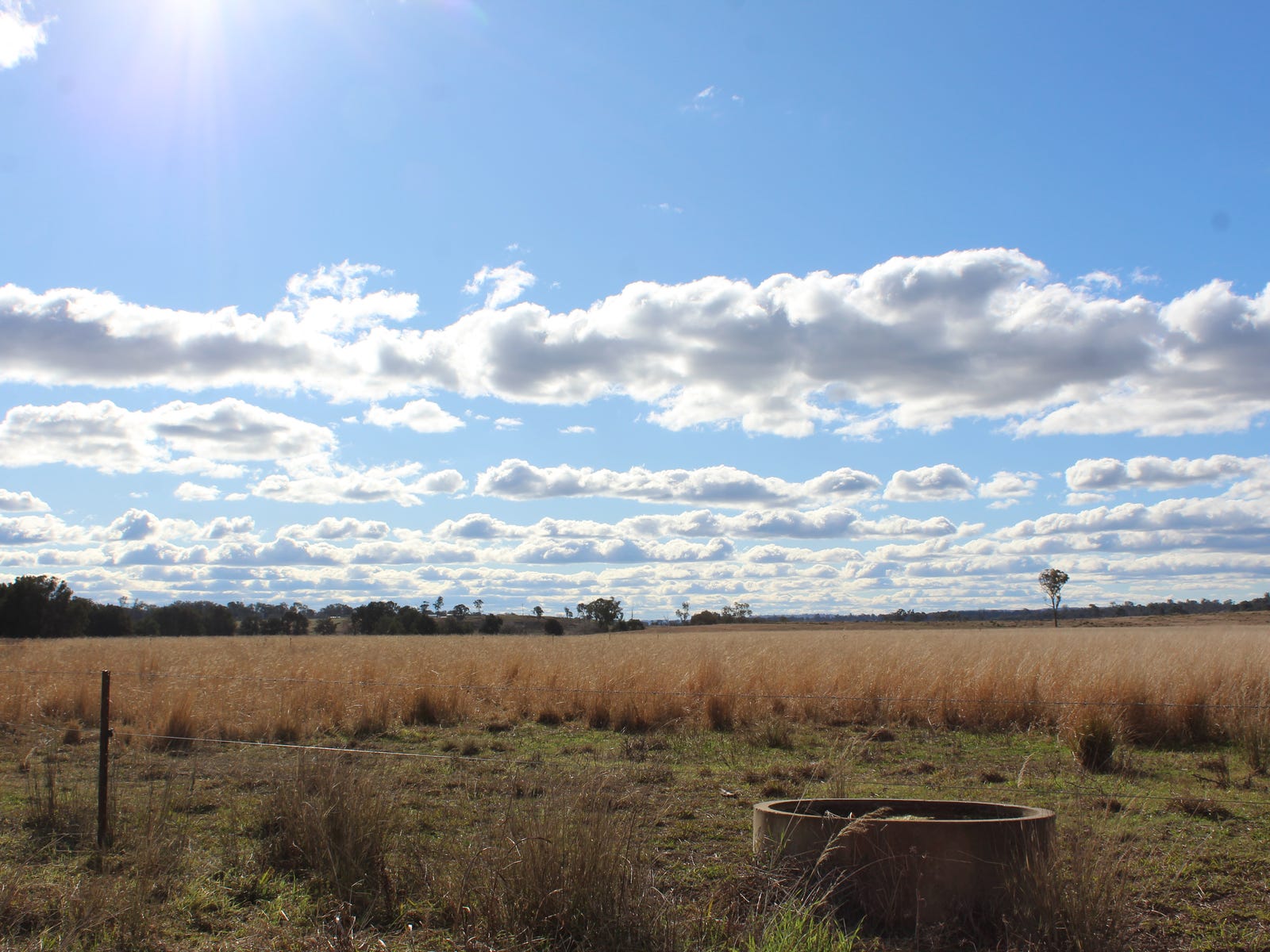 Business For Sale: Murrays Bridge, Qld 4370