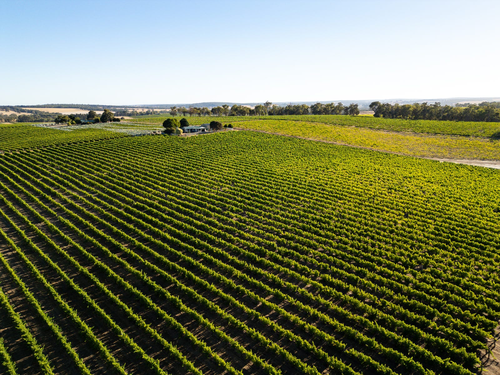 Business For Sale: Frankland River, WA 6396