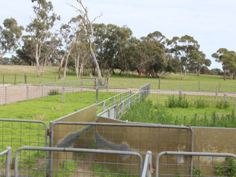 Business For Sale: Keith, SA 5267