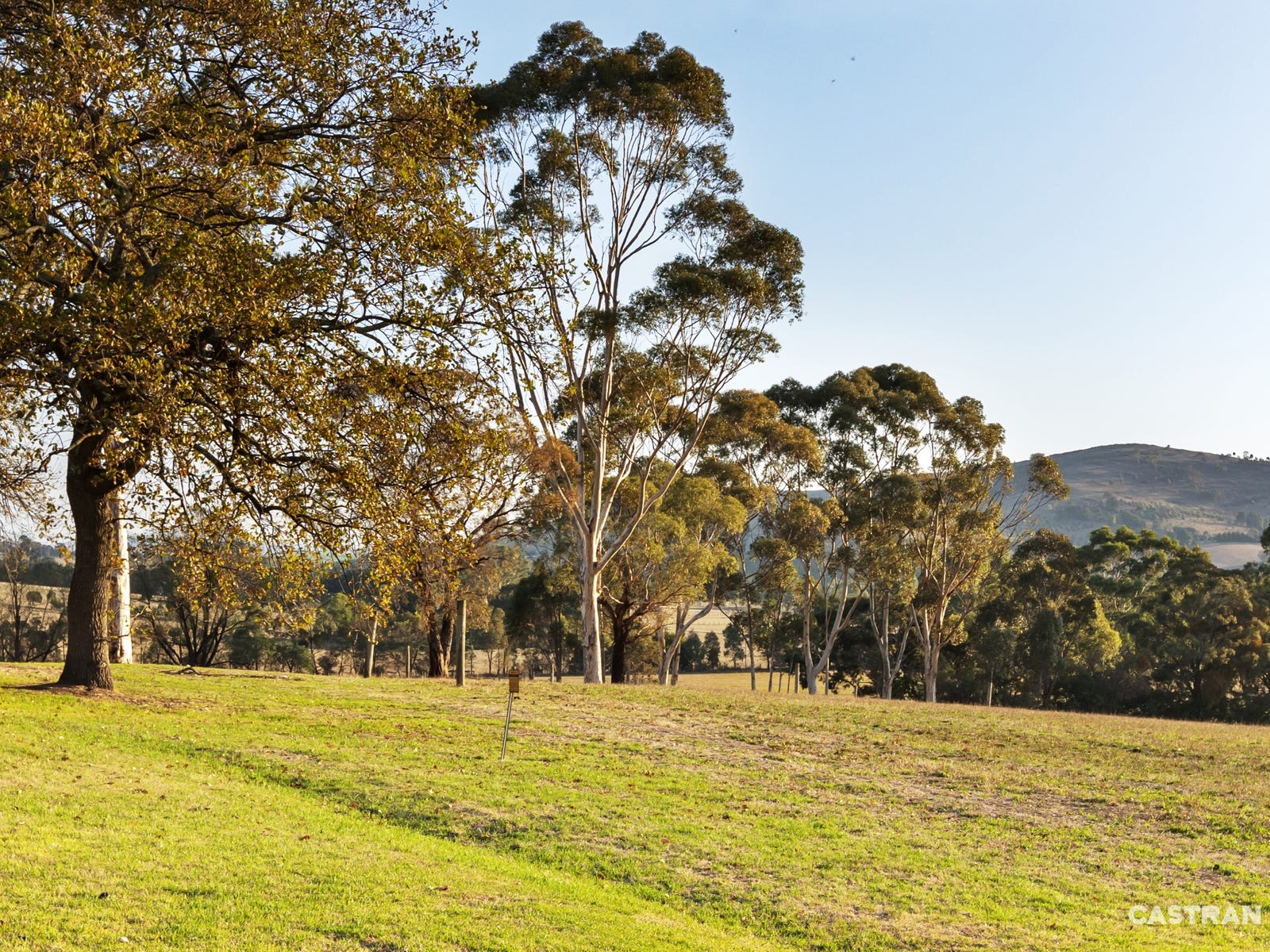 Business For Sale: Dixons Creek, Vic 3775