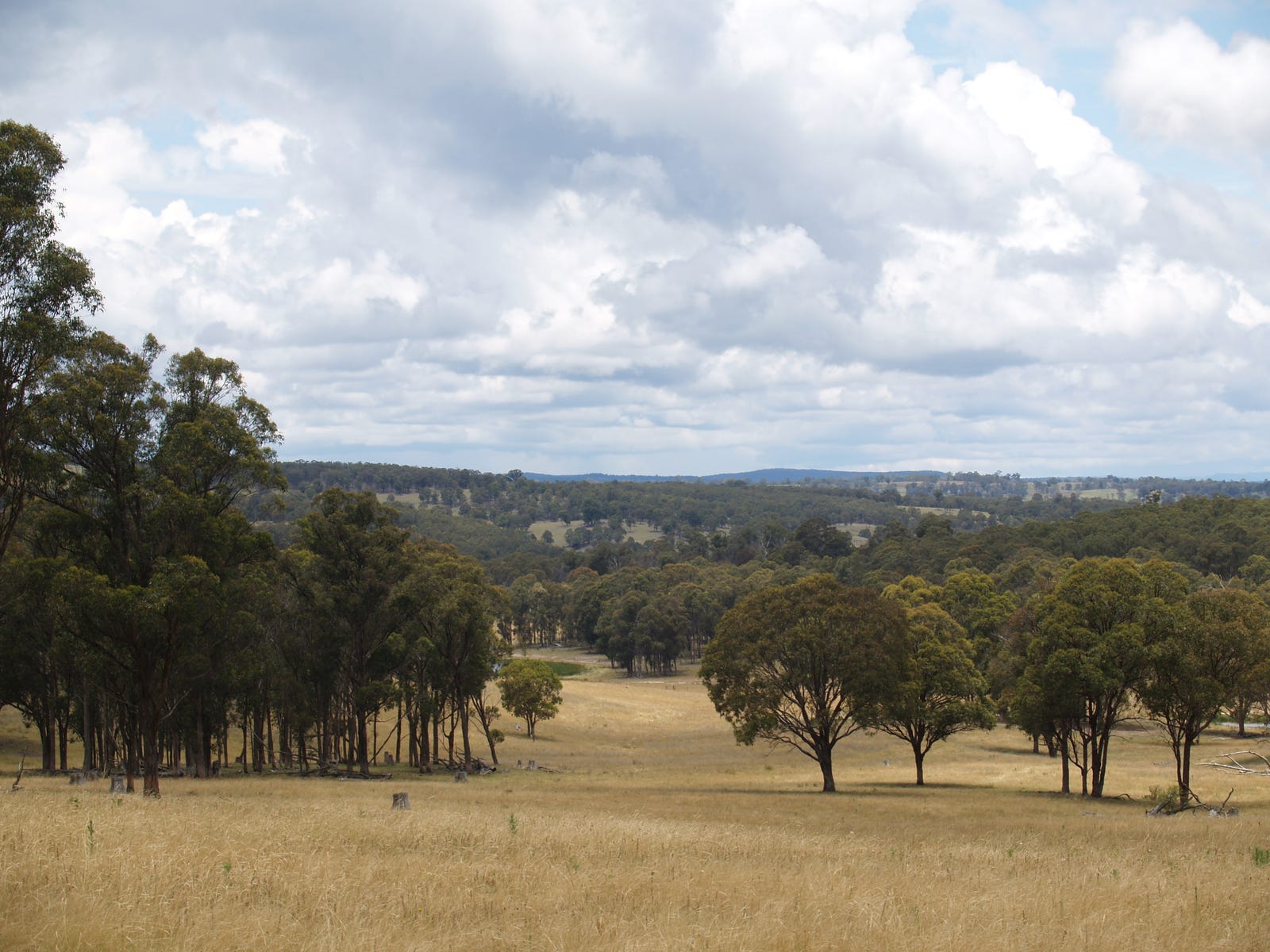 Business For Sale: Metz, NSW 2350