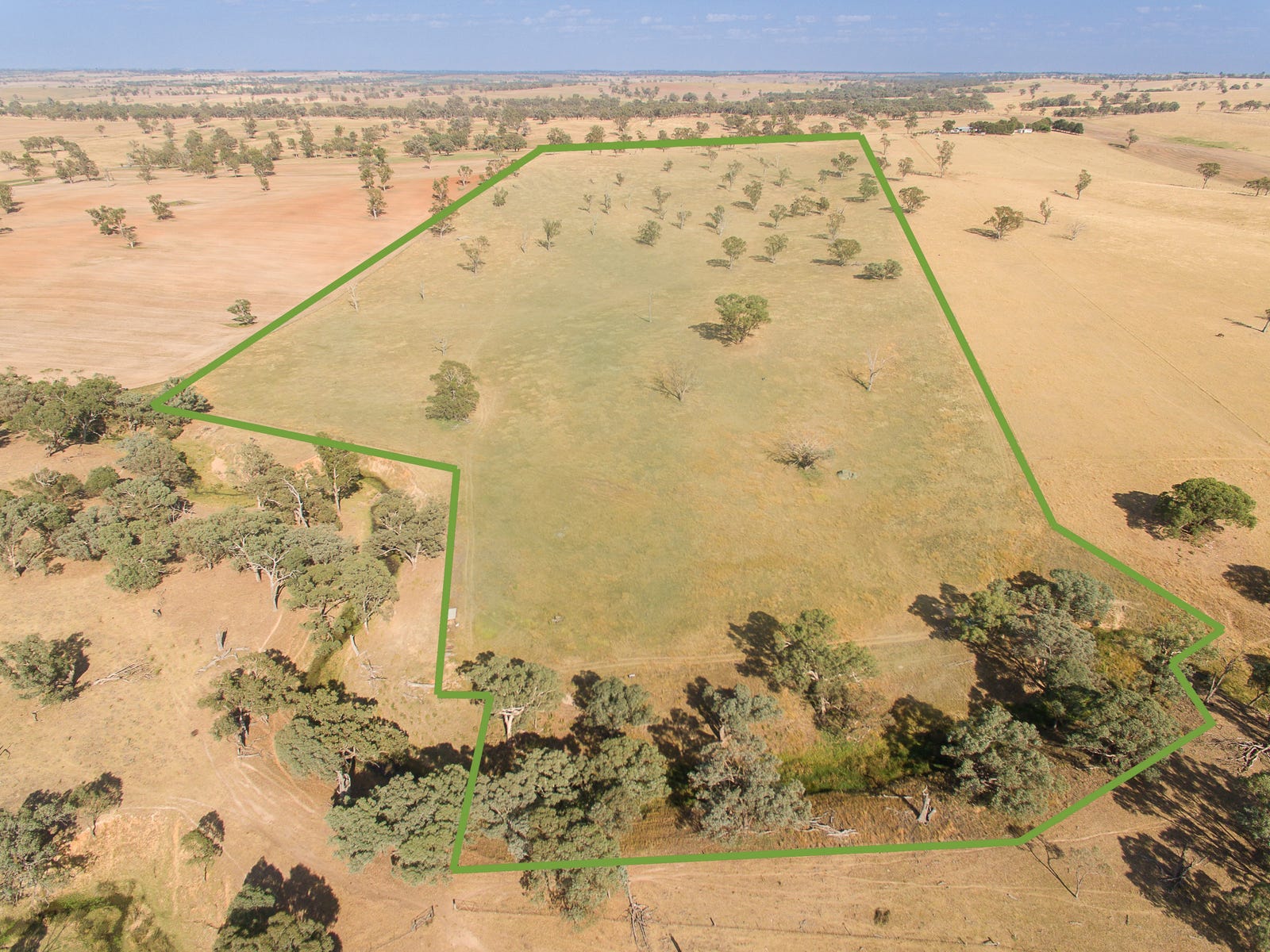 Farm For Sale in Young, NSW 2594 Lot 167 Hartfield Road Barwang Via