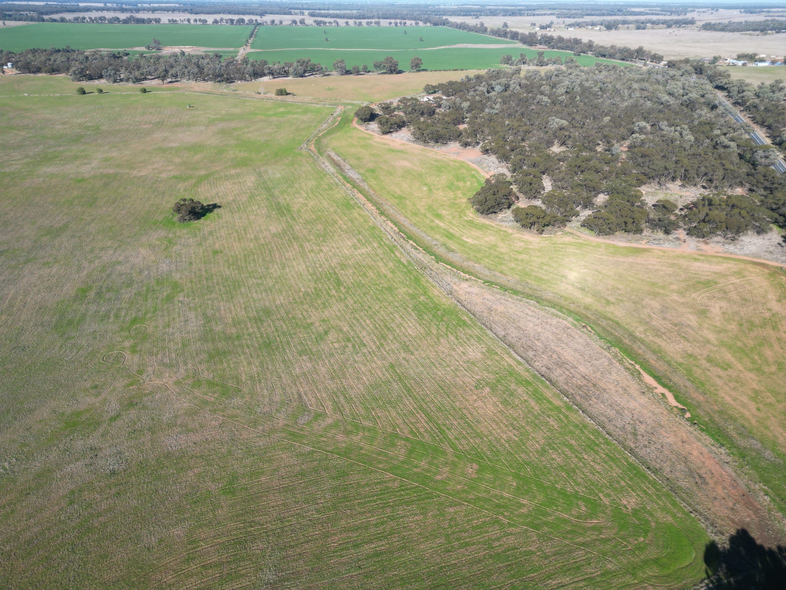 Business For Sale: West Wyalong, NSW 2671