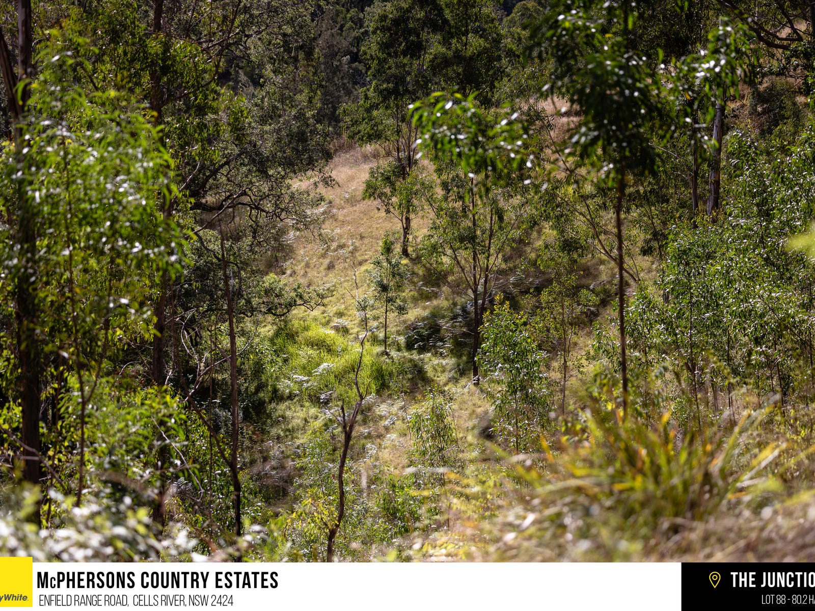 Business For Sale: Cells River, NSW 2424