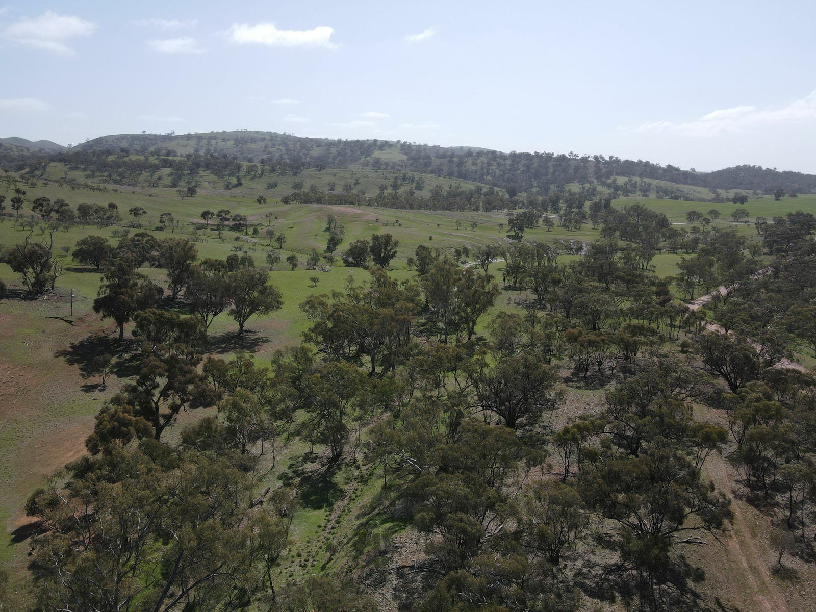 Farm For Sale in Wilmington, SA 5485 Allotment 1 Hancocks Lookout Road